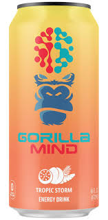 Gorilla Minds